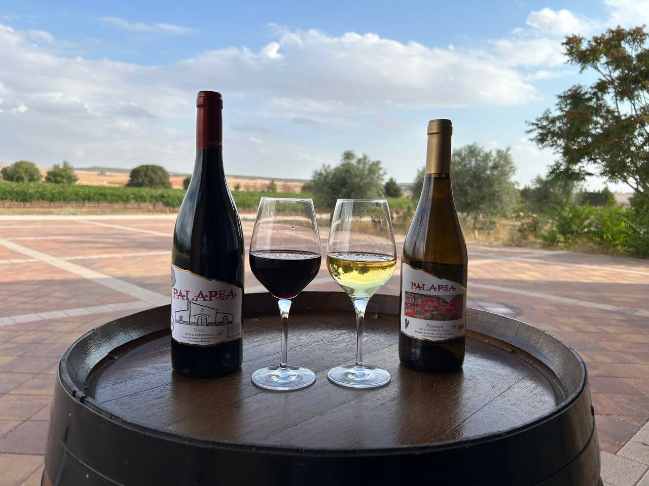 Vino Palarea Chardonnay