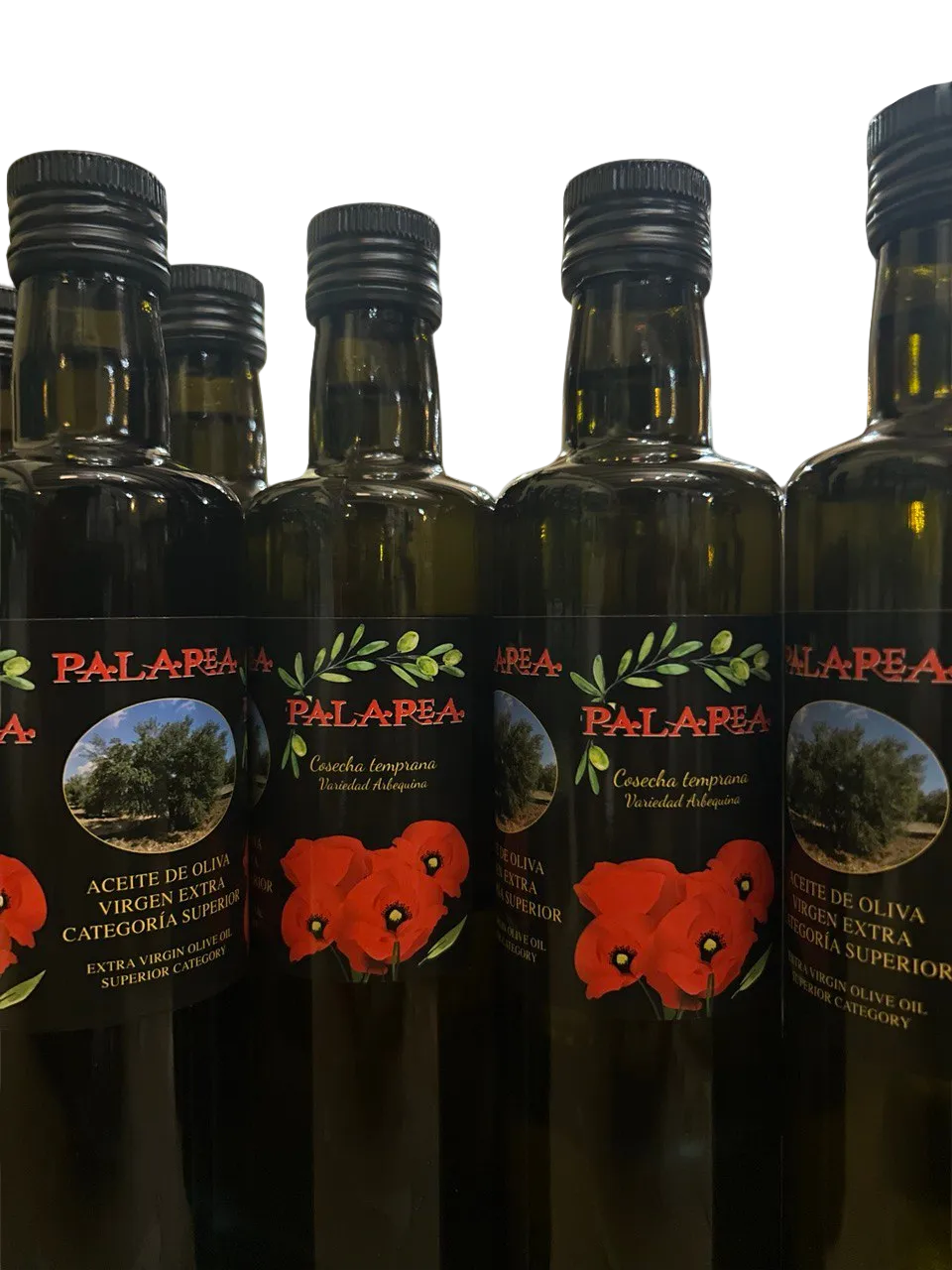 PALAREA AOVE. PACK 12 BOTELLAS 500ML